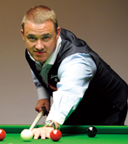 队中的角色 队中的角色